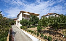 Apartments And Rooms With Parking Space Trogir - 13102